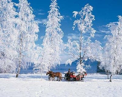 From Salzburg: 8-hour Horse-Drawn Tour w/ 2-hour Sleigh Ride - Key points before you go
