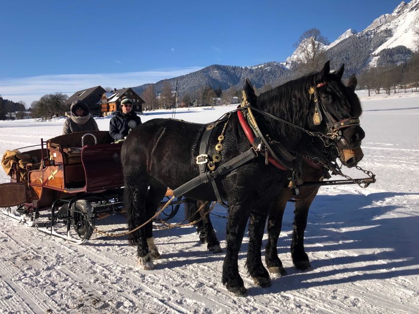 From Salzburg: 8-hour Horse-Drawn Tour w/ 2-hour Sleigh Ride - Why Ramsau am Dachstein feels special for a Salzburg winter day