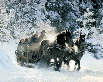 From Salzburg: 8-hour Horse-Drawn Tour w/ 2-hour Sleigh Ride - The long stay in Ramsau: why 3,700 feet is more than a number