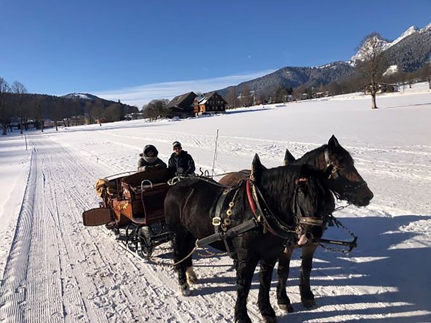 From Salzburg: 8-hour Horse-Drawn Tour w/ 2-hour Sleigh Ride - Practical tips to stay warm and comfortable