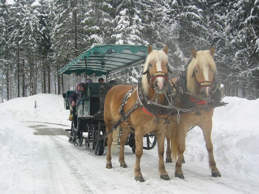 From Salzburg Romantic Carriage Ride through the Countryside - Lake Wolfgang in Winter: How to Get the Best Atmosphere Without Overplanning