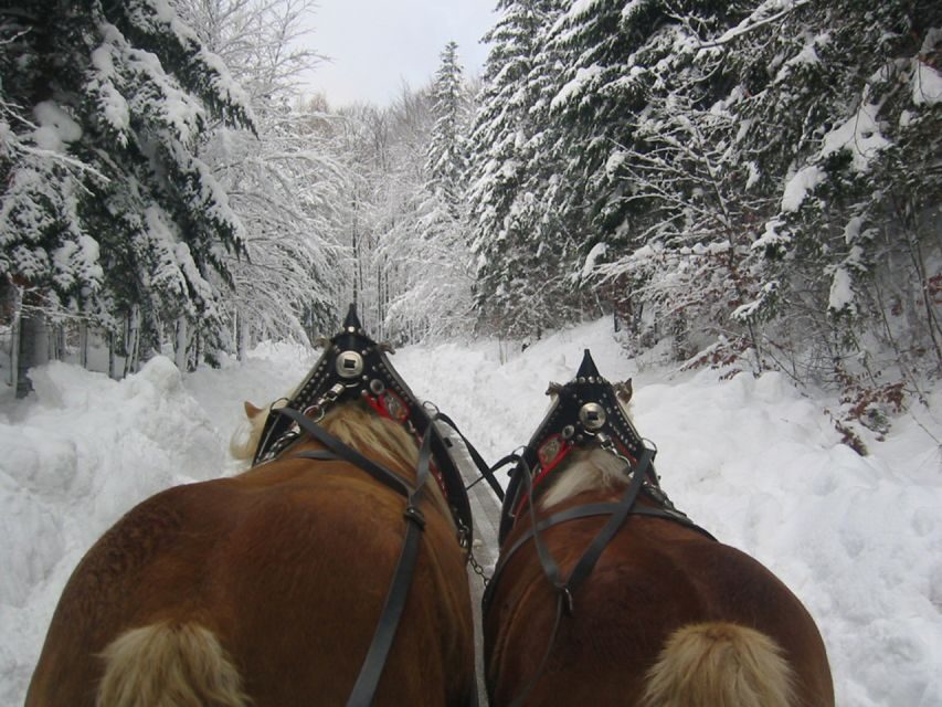 From Salzburg Romantic Carriage Ride through the Countryside - Warmth Plan: What to Wear for 4 Hours Outdoors