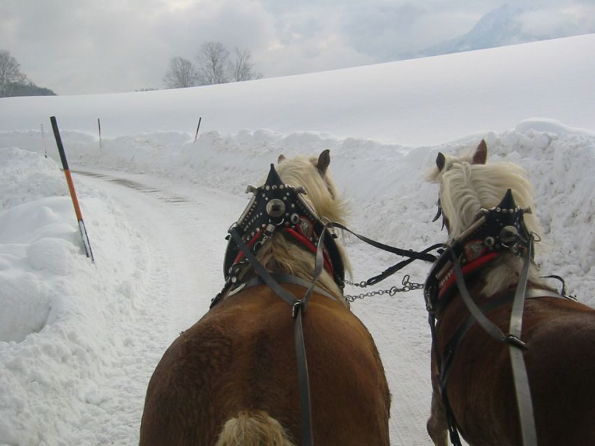 From Salzburg Romantic Carriage Ride through the Countryside - Who This Works Best For (and Who Might Want Another Option)