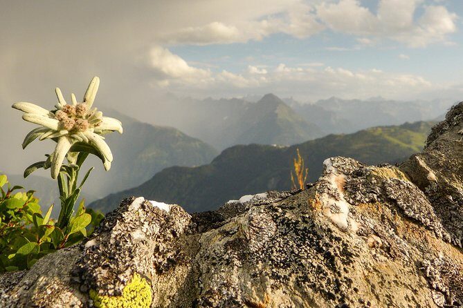 Private Eagle's Nest & The Hills are Alive - Obersalzberg picture stops: getting your bearings before Eagle’s Nest