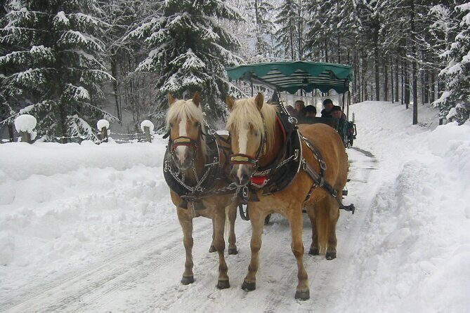 Private Horse-Drawn Sleigh Ride from Salzburg - Key things to know before you go