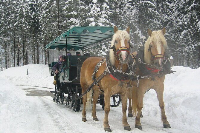 Private Horse-Drawn Sleigh Ride from Salzburg - Who this tour is best for (and who should think twice)