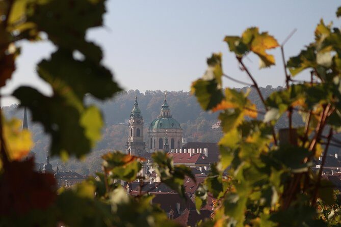 Private Scenic Transfer from Salzburg to Prague with 4h of Sightseeing - Price and value: why $354.47 per person can be a smart move