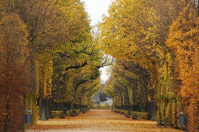 Private transfer from Salzburg to Vienna, 2 hours for sightseeing - What to expect at each suggested stop (and what to plan for)