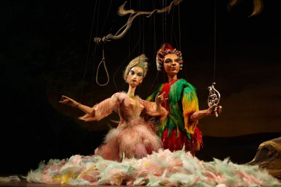 Salzburg: The Magic Flute at Marionette Theater Ticket - Language setup: German singing plus projected explanations