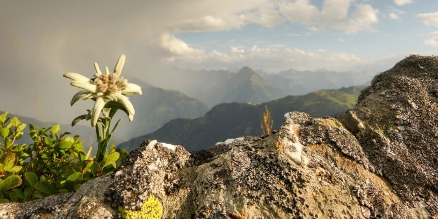 The Hills Are Alive Private "Do-Re-Mi" Tour - Lueg Pass gorges and Werfen: the movie picnic with real panorama